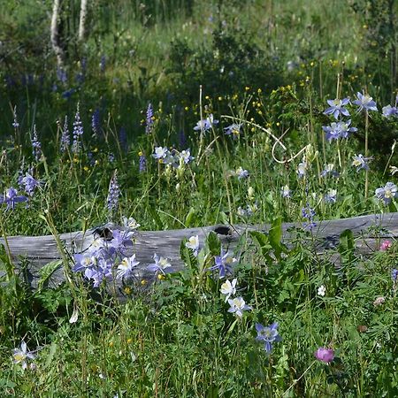 Tenderfoot Lodge Keystone Bagian luar foto